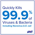 PURELL Foodservice Surface Sanitizer Refill, 1 Gallon (4341-04)
