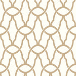 York Wallcoverings Trellis Peel and Stick Wallpaper (RMK9121WP)