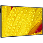 Sharp M 50" Wall Mount Commercial Monitor for Digital Signage (M501-2)