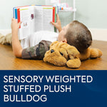 Bouncyband Happy Hugs Sensory Weighted Plush Bulldog (BBALPBD)