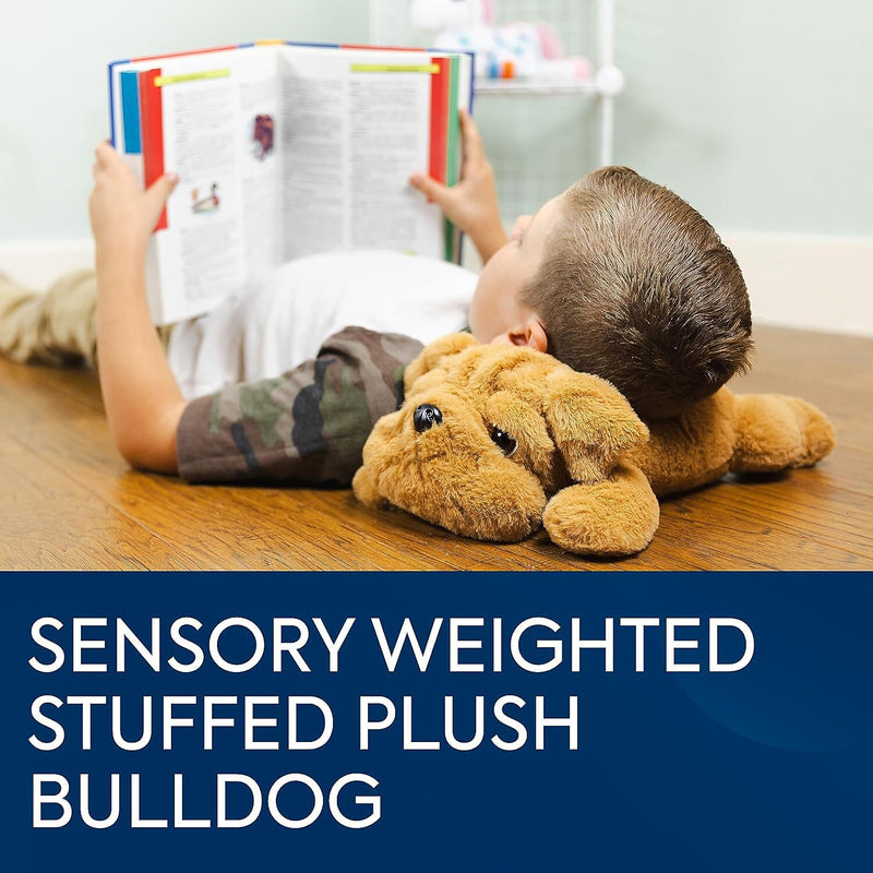 Bouncyband Happy Hugs Sensory Weighted Plush Bulldog (BBALPBD)