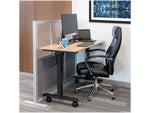 Luxor Modular Room Divider Starter Wall, 48"H x 53"W, Gray PET/Frosted Acrylic (MW-5348-FCG)