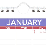 2026 AT-A-GLANCE 8" x 11" Monthly Wall Calendar, White/Purple (PM1-28-26)