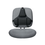 Fellowes Professional Back Support, Black (8037601)