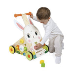 Janod Farm Multi-Activity Baby Walker, Multicolored (J03326)
