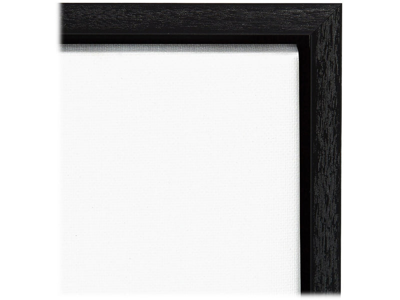 Amanti Art Plant Life White on Black II, Canvas, 23" x 30" (A42675515283)