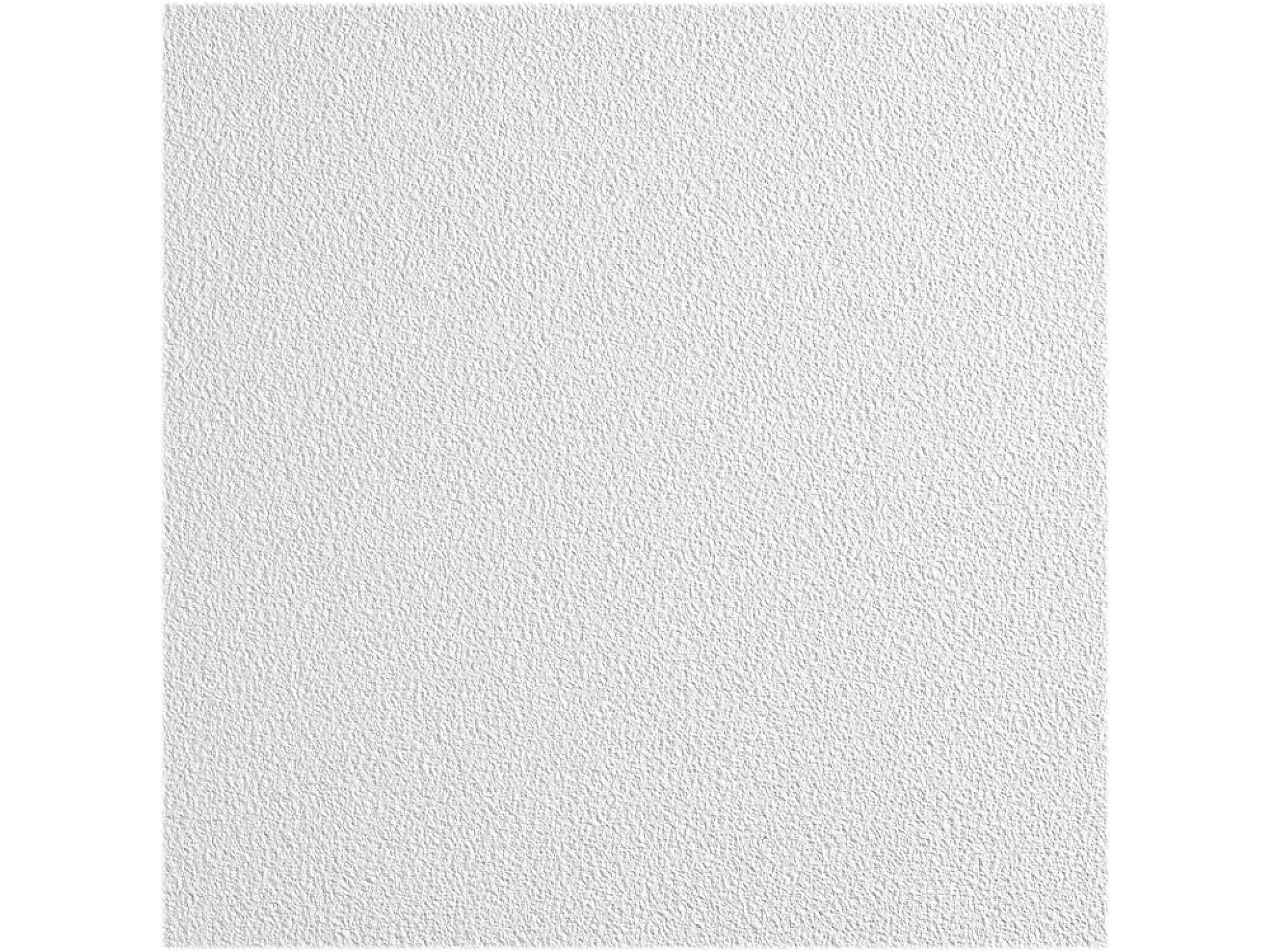 Armstrong CLEAN ROOM VL Square Lay-In Edge Ceiling Tile, 24" x 24", White, 12/Carton (BP868B)
