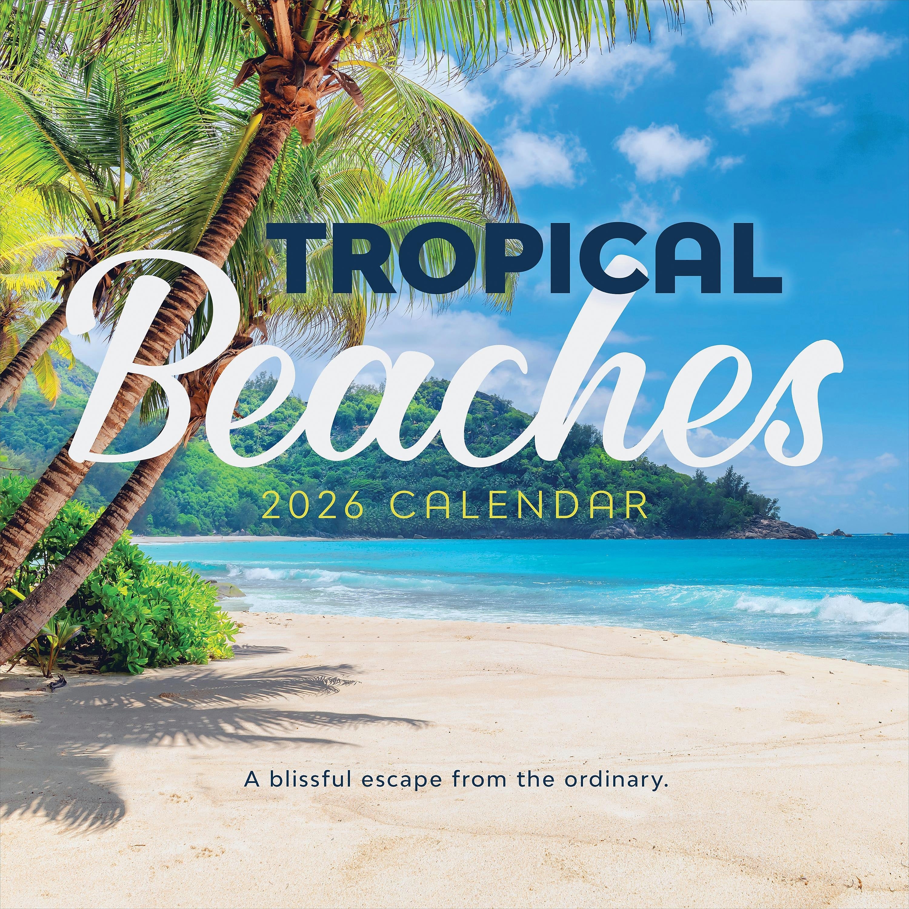 2026 TF Publishing Tropical Beaches 12" x 12" Monthly Wall Calendar, Multi (26-1030)