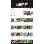 2026 TF Publishing 12" x 17" TF Publishing 12" x 12" Birds: Backyard and Beyond Wall Calendar 26-1121