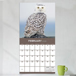 2026 TF Publishing Owls 12" x 12" Monthly Wall Calendar (26-1044)
