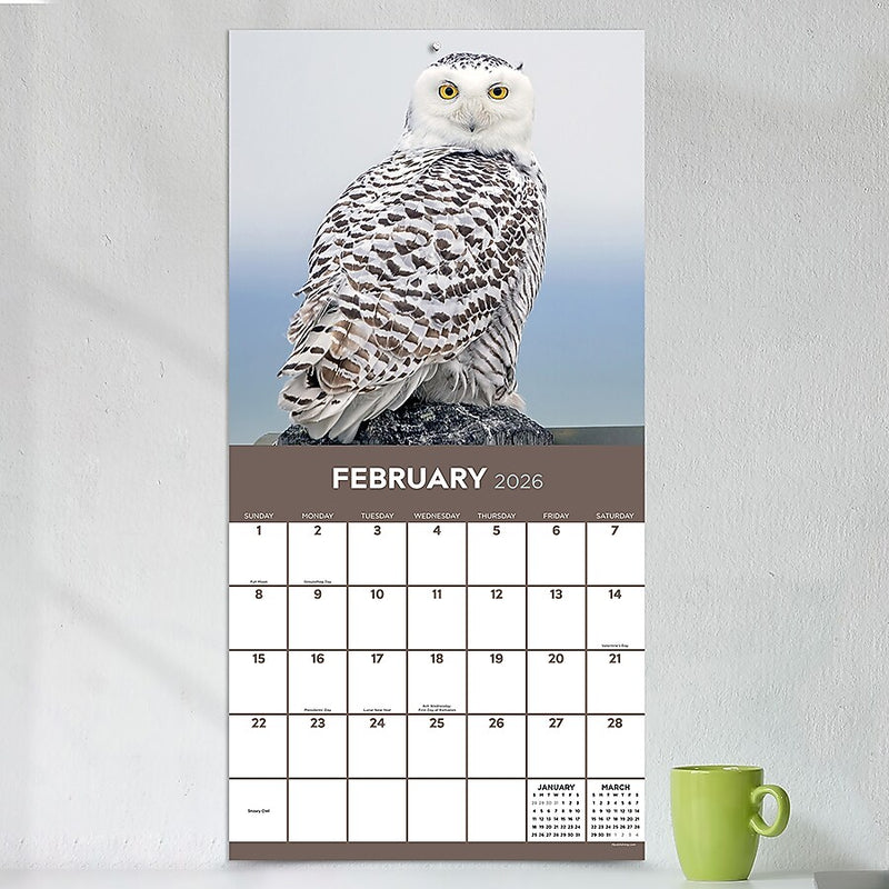2026 TF Publishing Owls 12" x 12" Monthly Wall Calendar (26-1044)