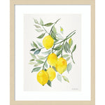 Amanti Art Lemon Citrus by Patricia Shaw Wood Framed Wall Art Print, 17" x 21" (A42675506061)