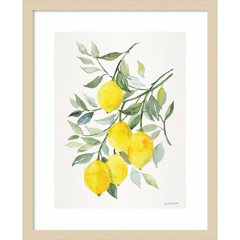 Amanti Art Lemon Citrus by Patricia Shaw Wood Framed Wall Art Print, 17" x 21" (A42675506061)