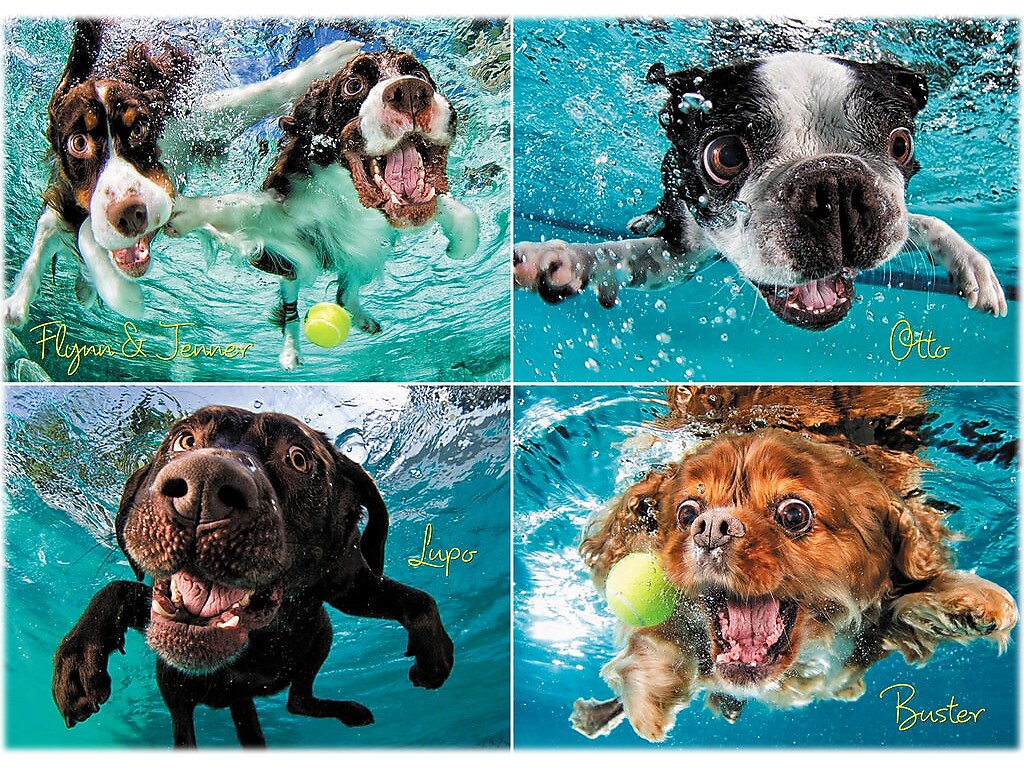 Willow Creek Underwater Dogs: Ruff Water 1000-Piece Jigsaw Puzzle (49205)