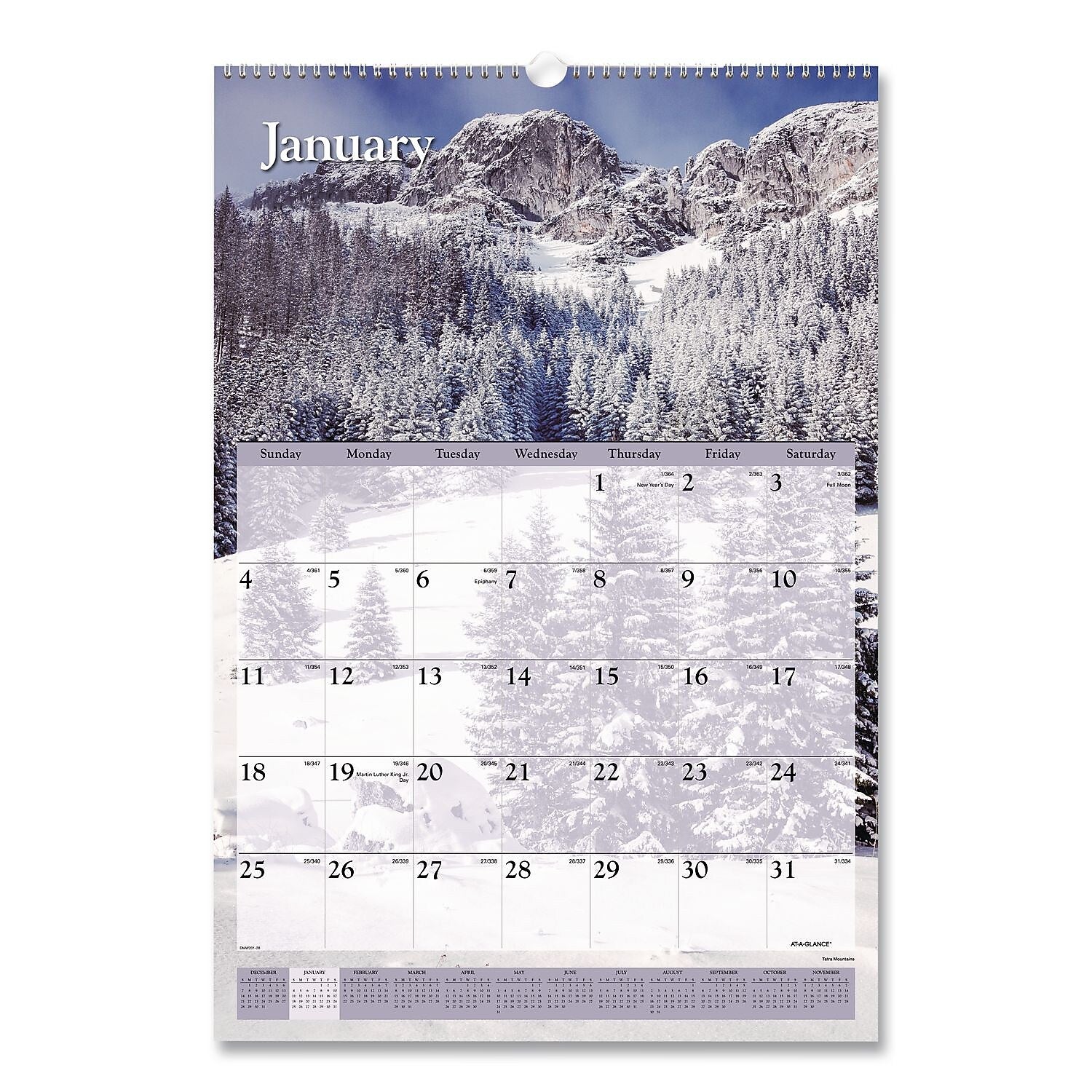 2026 AT-A-GLANCE Scenic 15.5" x 22.75" Monthly Wall Calendar (AAGDMW20128)