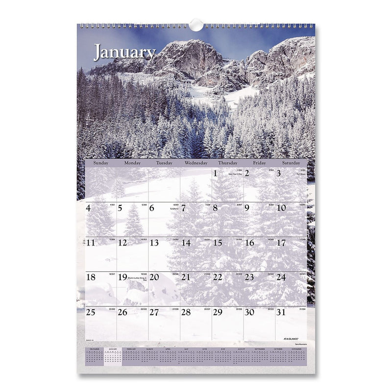 2026 AT-A-GLANCE Scenic 15.5" x 22.75" Monthly Wall Calendar (AAGDMW20128)