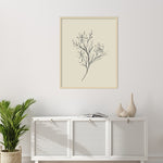 Amanti Art Line Drawn Flowers 1 by Border Bloom Wood Framed Wall Art Print, 33" x 41" (A42677449910)