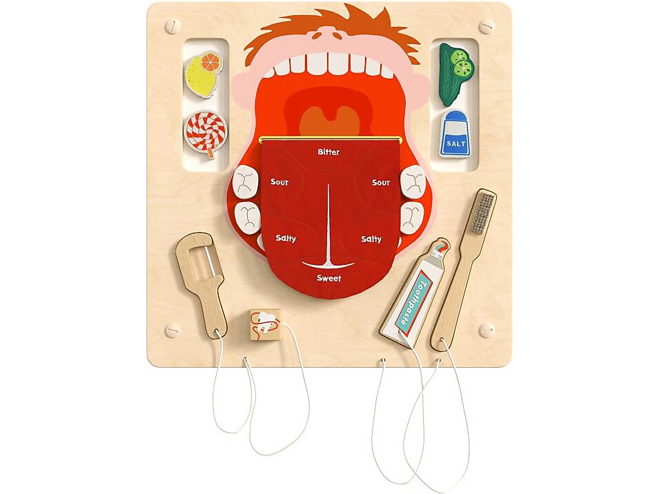 Flash Furniture Bright Beginnings Dental Hygiene STEAM Wall Activity Board (MK-ME10346-GG)