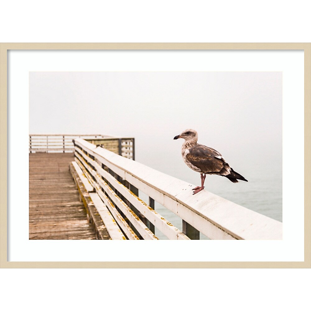 Amanti Art Sea gull on wharf by Alison Jones Danita Delimont Wood Framed Wall Art Print, 41" x 30" (A42675535759)