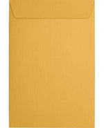 JAM Paper Catalog Envelope 6" x 9", Brown Kraft Manila, 50/Pack (1693i)