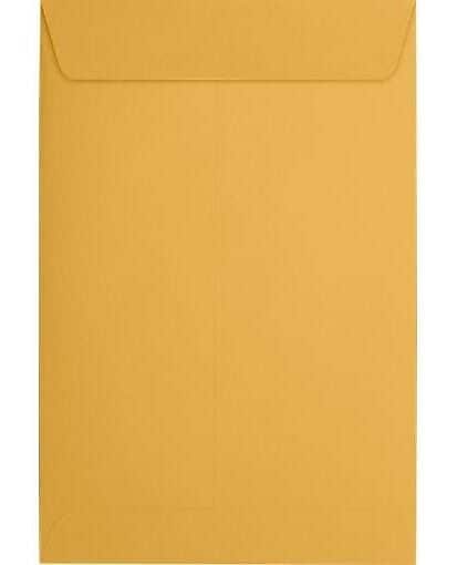 JAM Paper Catalog Envelope 6" x 9", Brown Kraft Manila, 50/Pack (1693i)