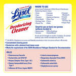 Lysol Professional No Rinse Sanitizer, 1 Gallon (3624174389)