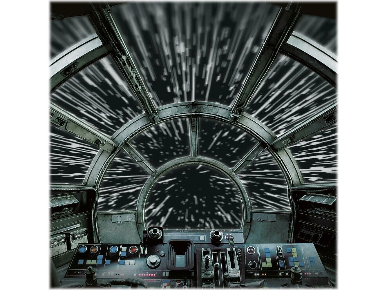RoomMates Star Wars Millennium Falcon Contemporary Wall Mural, Movies & TV (RMK11458M)