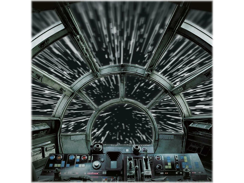RoomMates Star Wars Millennium Falcon Contemporary Wall Mural, Movies & TV (RMK11458M)