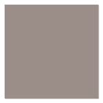 Rust-Oleum Universal Premium Spray Paint, Greige, 12 oz., 6/Carton (376724)