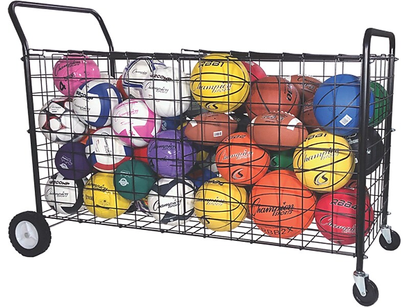 Champion Sports Double-Sided Ball Locker, Black (DSLX)