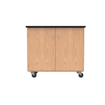 DWI Micro-Charge Station Wood Veneer Table with Storage