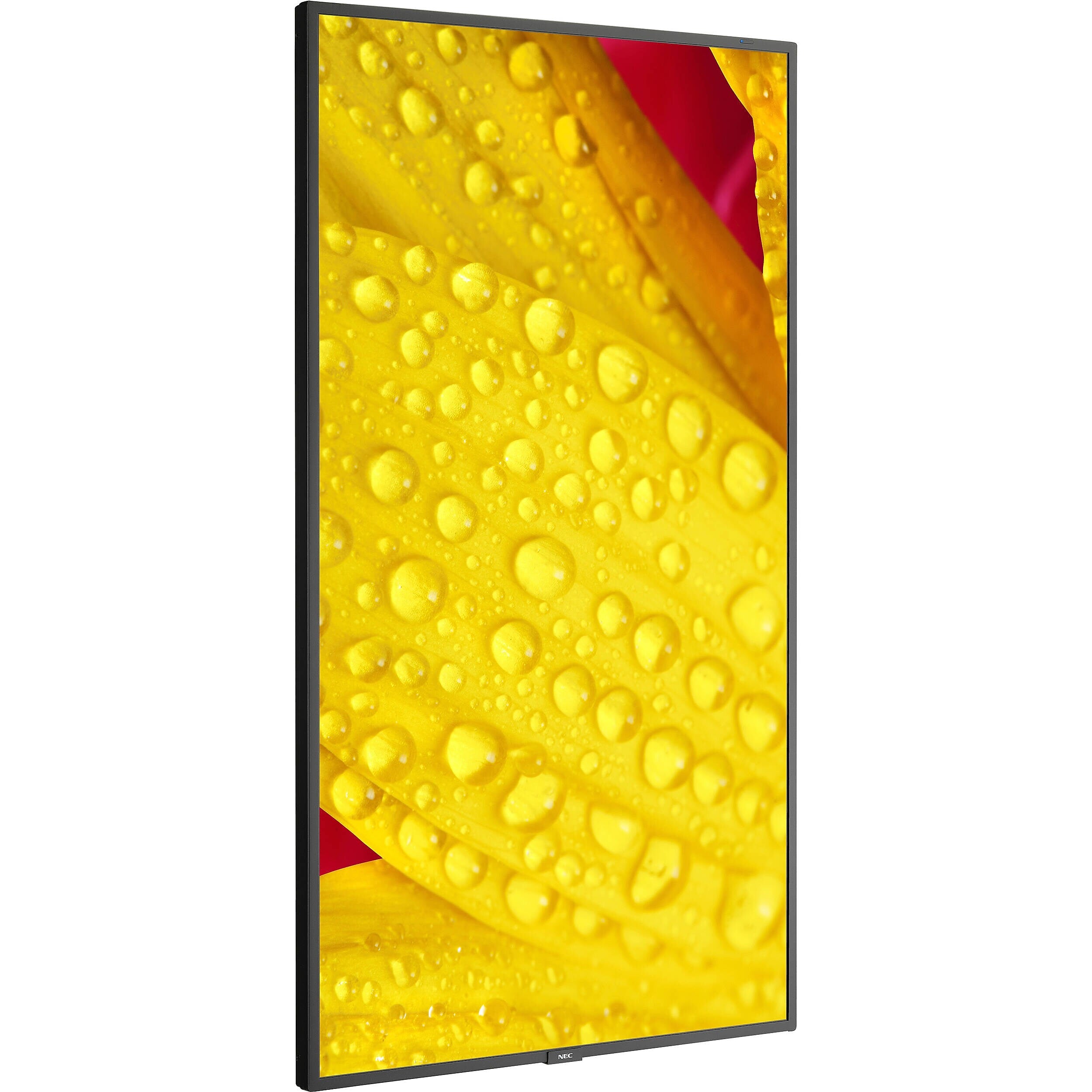Sharp M 50" Wall Mount Commercial Monitor for Digital Signage (M501-2)