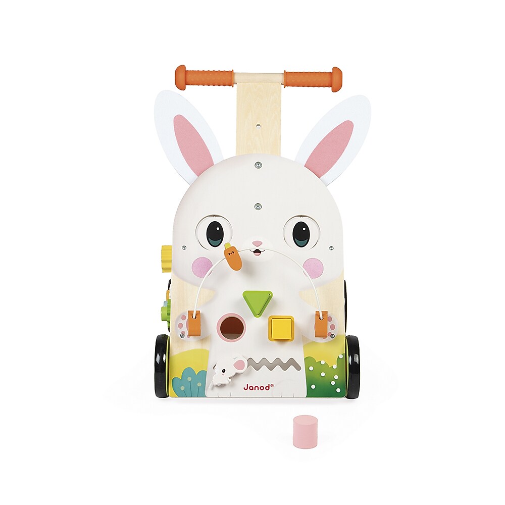 Janod Farm Multi-Activity Baby Walker, Multicolored (J03326)