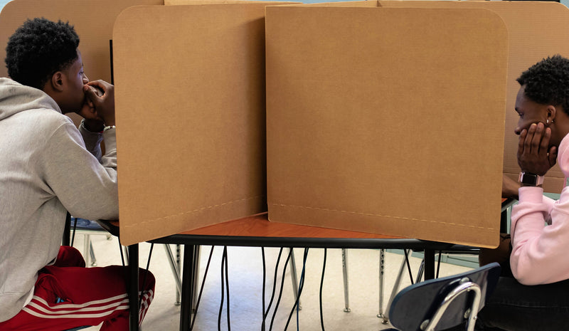 Classroom Products Foldable Cardboard Freestanding Privacy Shield, 24"H x 28"W, Kraft, 20/Box (VB2420 KR)