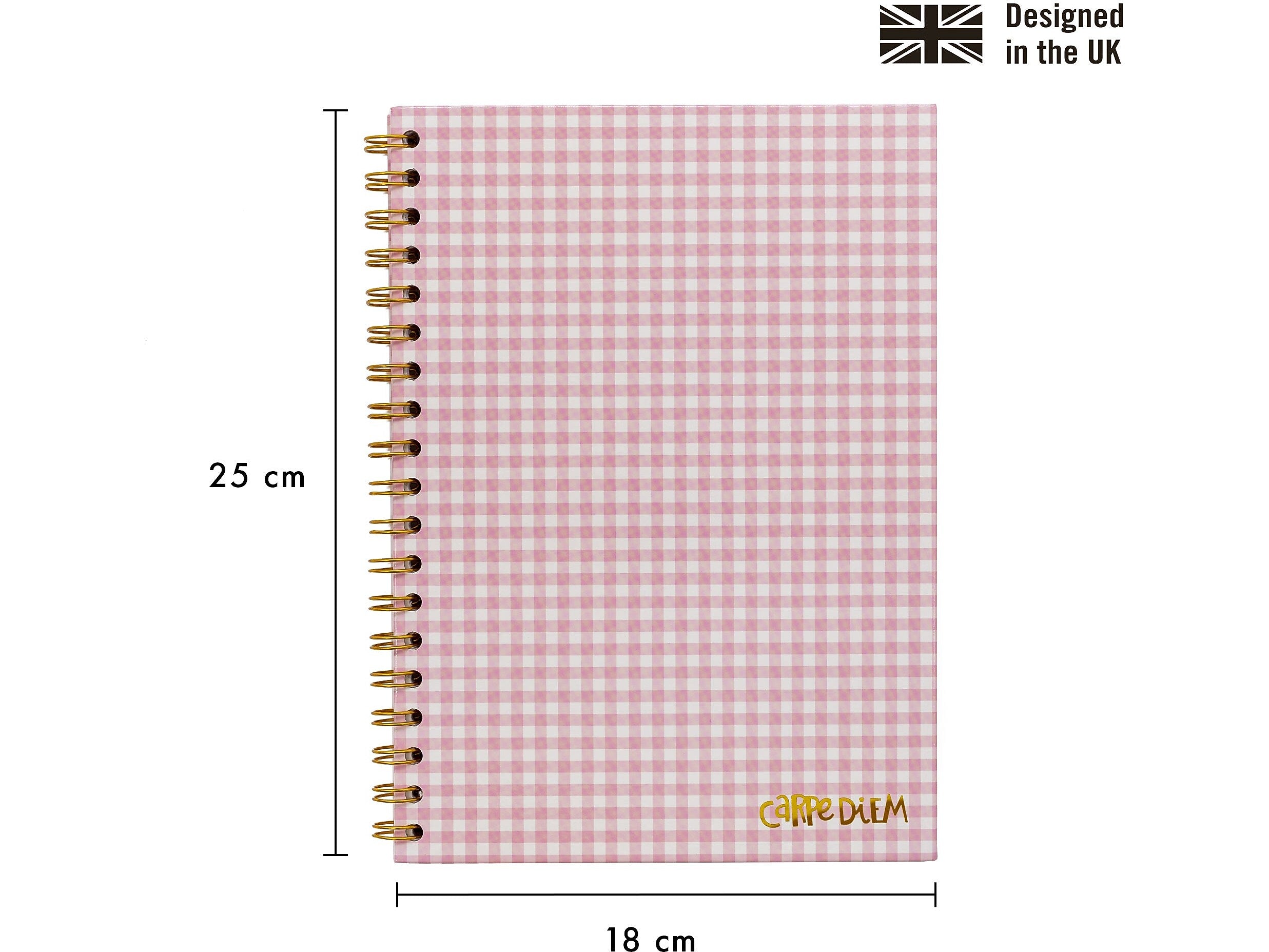 Carpe Diem Ballerina Pink Check 1-Subject Notebook, 7.5" x 9.75", Wide-Ruled, 80 Sheets, Pink/White (9377-CD)