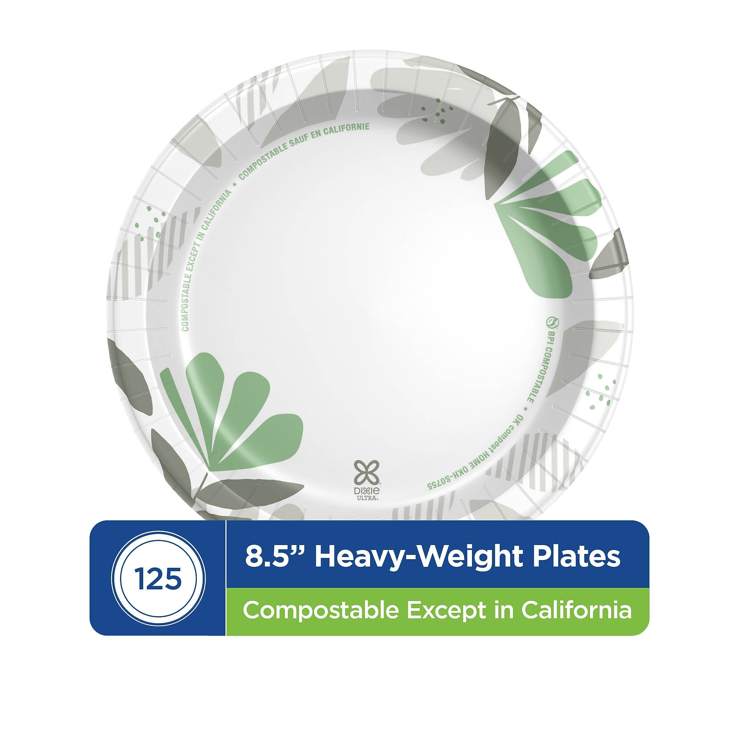 Dixie Ultra Pathways 8.5" Paper Plates, Multicolored, 125 Plates/Pack (SXP9PATH)