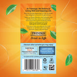 Twinings Cold Brewed English Classic Black Tea Bags, 20/Box (F07409)