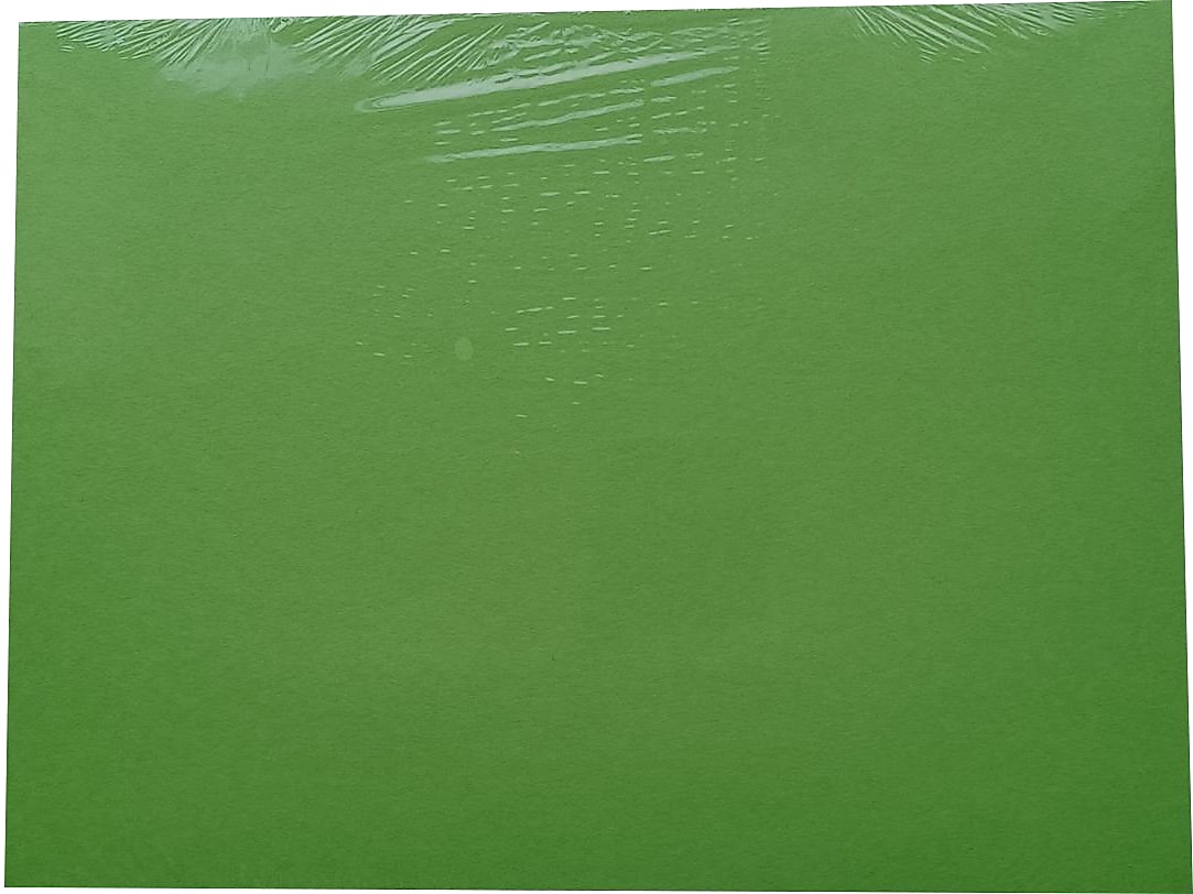 American Paper 12" x 18" Construction Paper, Bright Green, 50 Sheets/Pack (CP12BGR)