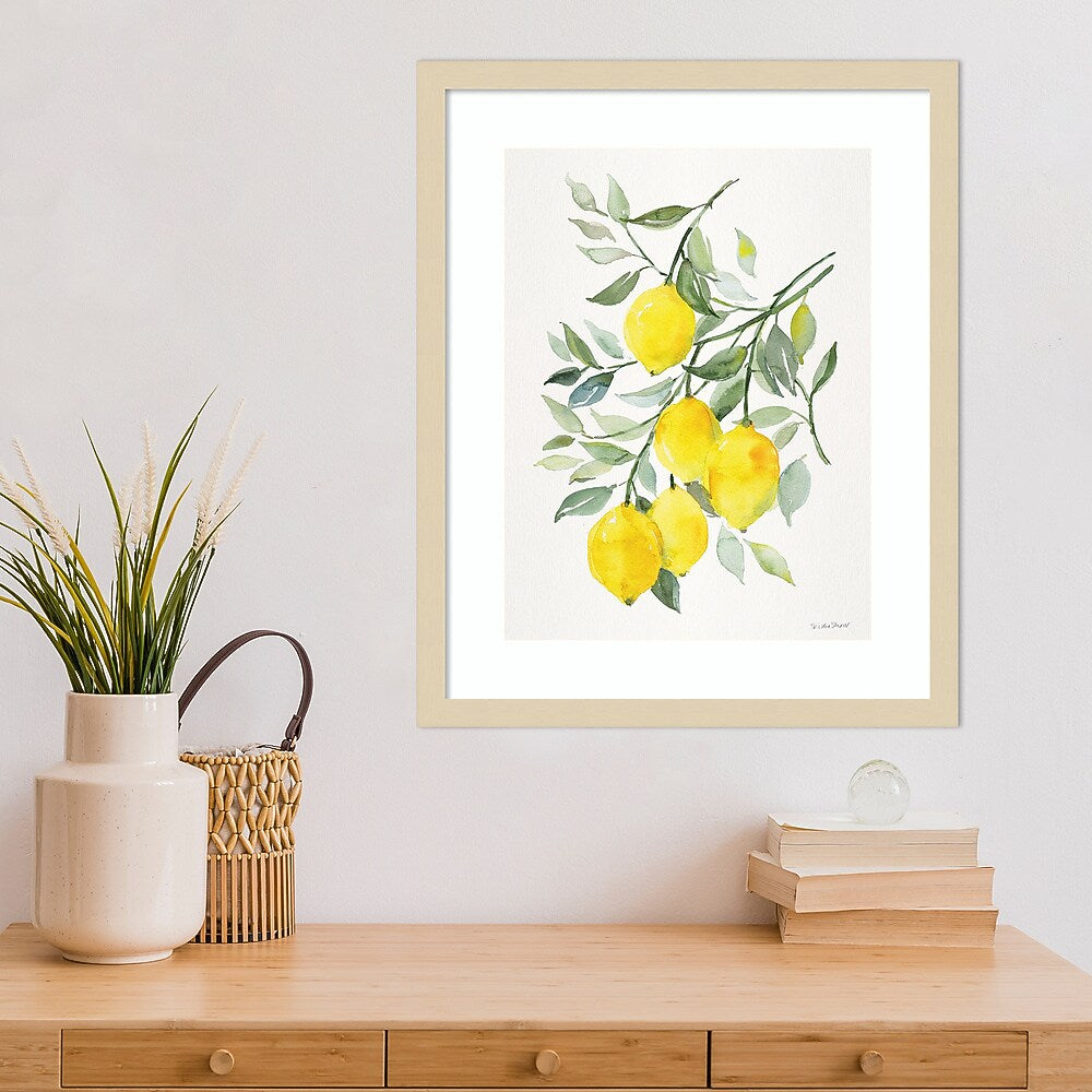 Amanti Art Lemon Citrus by Patricia Shaw Wood Framed Wall Art Print, 17" x 21" (A42675506061)