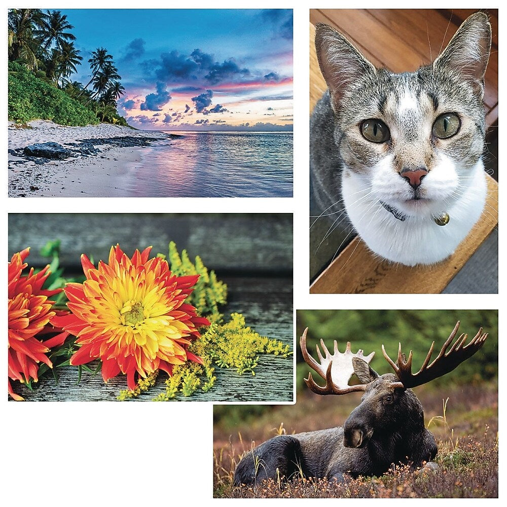 S&S 24-Piece Thera Jigsaw Foam Puzzle, 4 Puzzles/Set (19210)