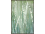 Amanti Art Abstract Grass, Canvas, 23" x 33" (A42675515543)