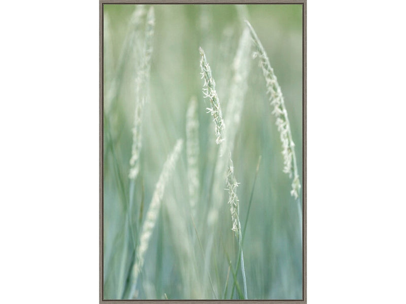 Amanti Art Abstract Grass, Canvas, 23" x 33" (A42675515543)