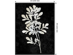 Amanti Art Plant Life White on Black II, Canvas, 23" x 30" (A42675515283)