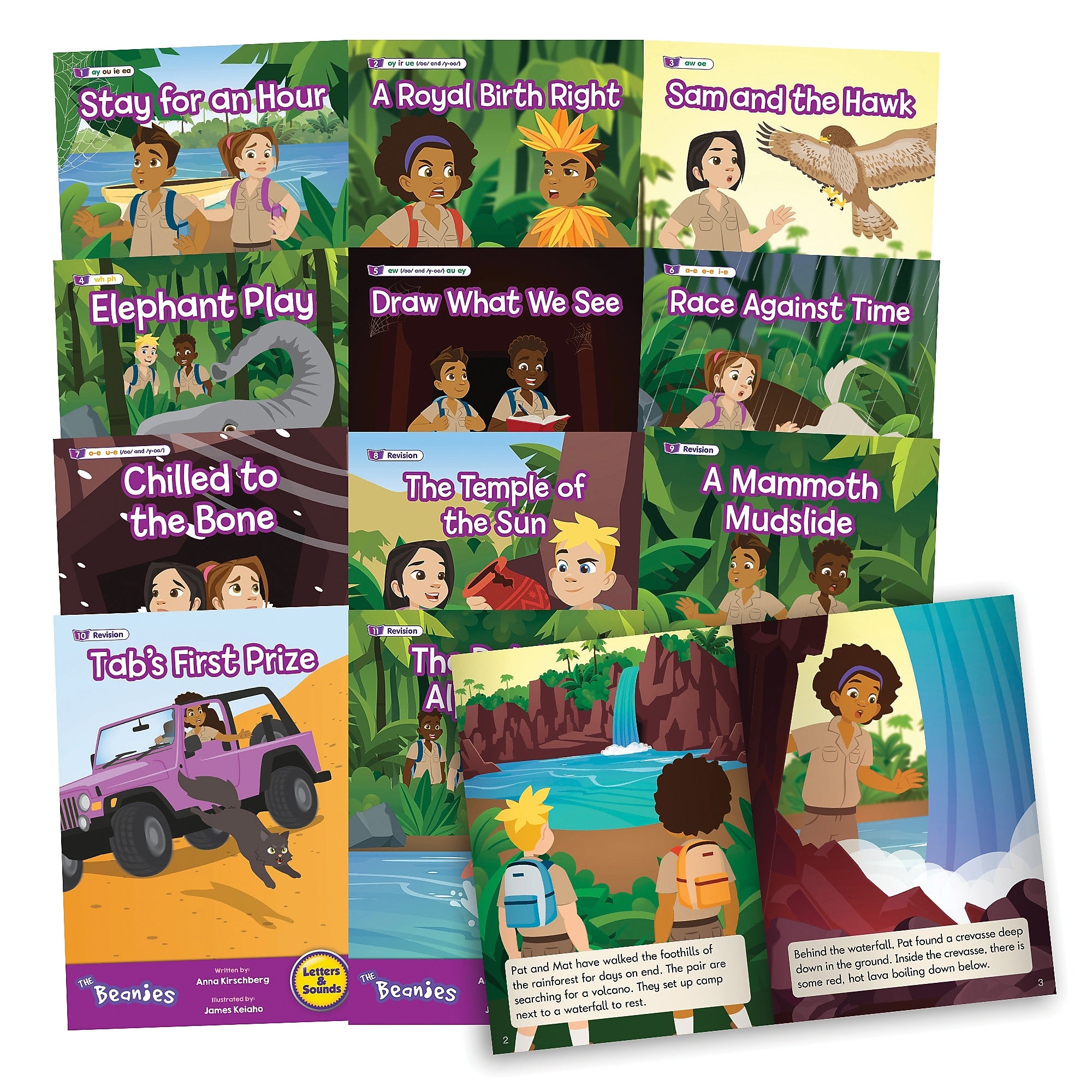 Beanstalk Books The Beanies Hi-Lo Diversity Decodables Phase 5 Set 2, 12/Set (JRLBB156)