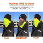 Ergodyne N-Ferno 6960 Insulated Neck Gaiter, Lime, One Size (16961)
