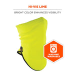 Ergodyne N-Ferno 6960 Insulated Neck Gaiter, Lime, One Size (16961)
