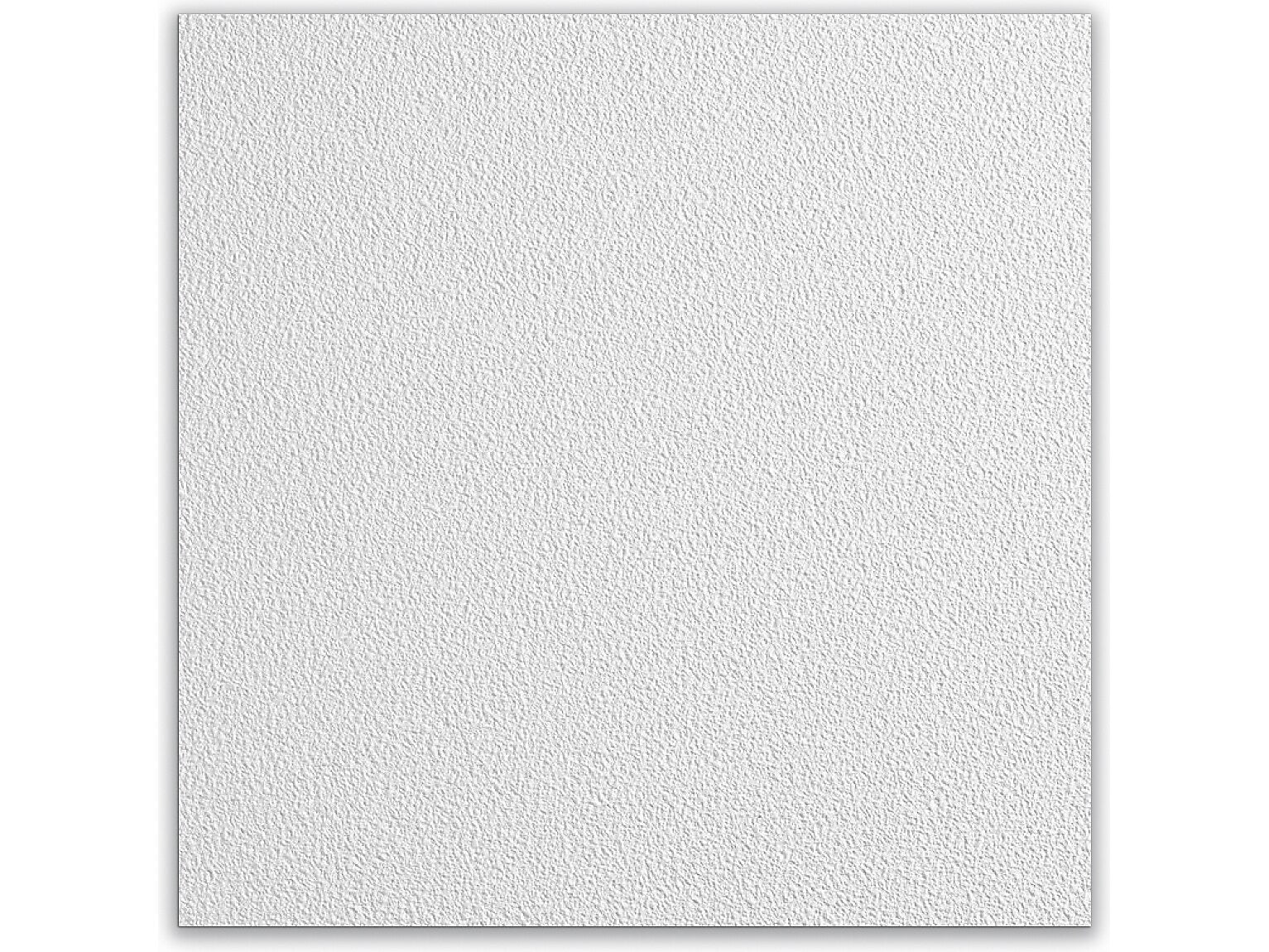 Armstrong CLEAN ROOM VL Square Lay-In Edge Ceiling Tile, 24" x 24", White, 12/Carton (BP868B)