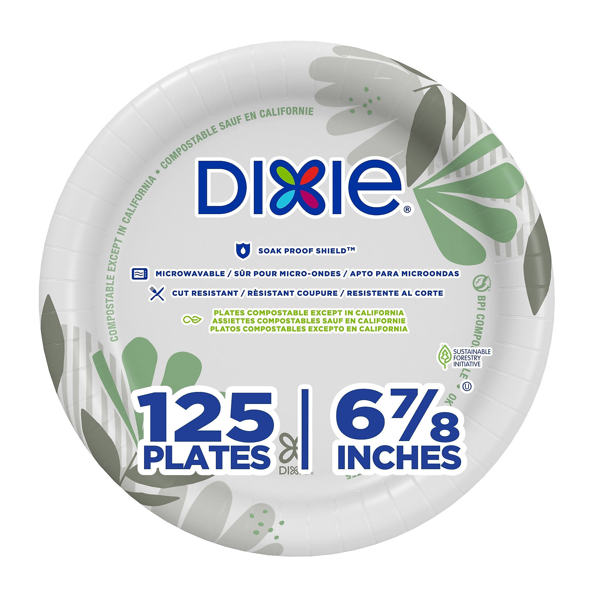 Dixie Pathways 6.8" Paper Plates, Multicolored, 125 Plates/Pack (UX7WS)