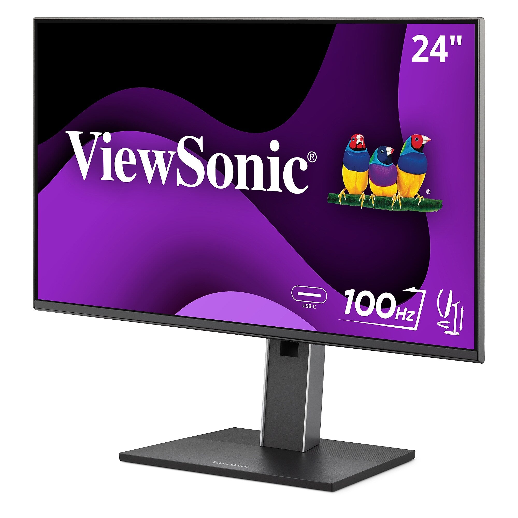ViewSonic Ergonomic 24" 100Hz LCD Monitor, Black (VG2452)