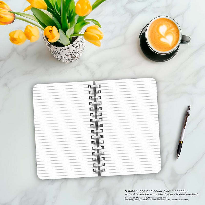 BrownTrout Starburst Hardcover Journal, 5.25" x 8.25", Multicolored, 192 Pages (9798330707041)